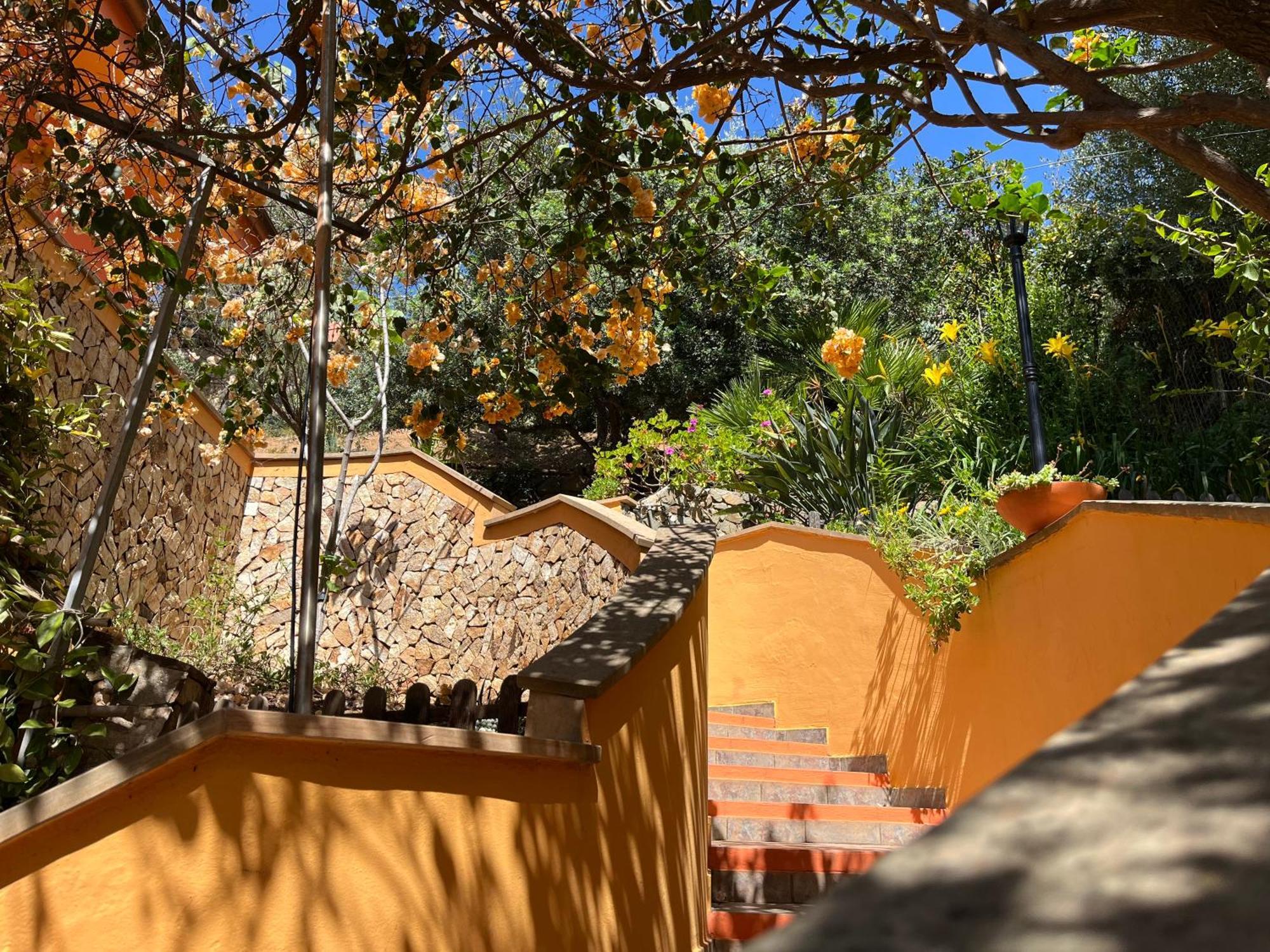 Villa Con Giardino Vista Mare Capitana Εξωτερικό φωτογραφία
